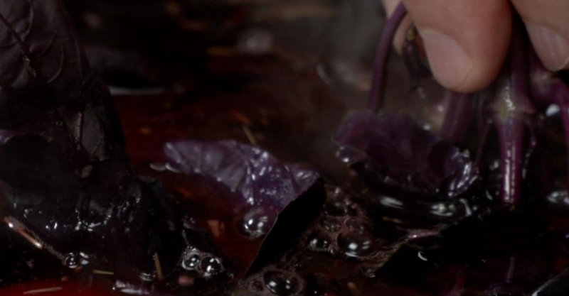 Иван-чай со смородиной